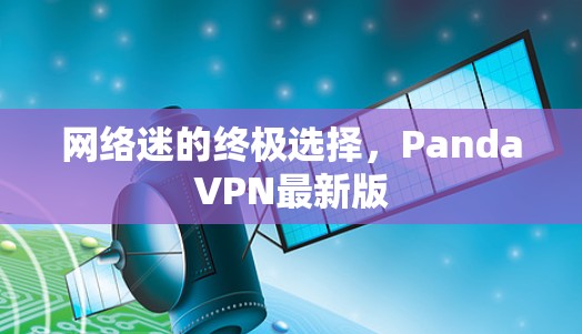 网络迷的终极选择，PandaVPN最新版