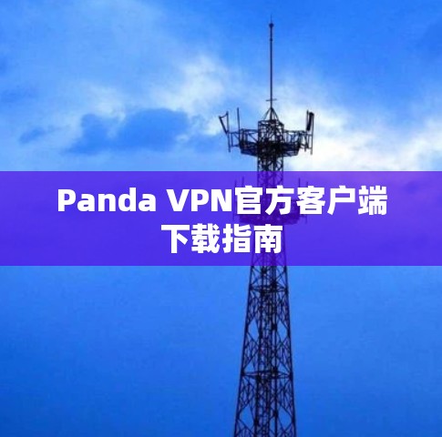 Panda VPN官方客户端下载指南