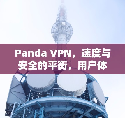 Panda VPN，速度与安全的平衡，用户体验的极致体验
