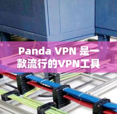Panda VPN 是一款流行的VPN工具，允许用户在电脑上访问世界各地的互联网。以下是一些使用 Panda VPN 的步骤，分为 Windows 和 Mac 两种操作方式