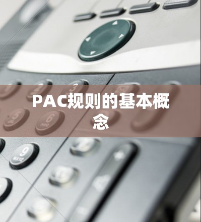 PAC规则的基本概念