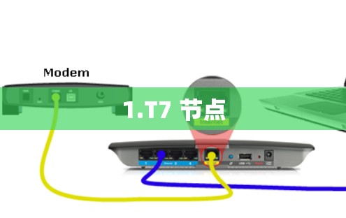 1.T7 节点