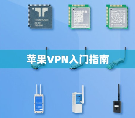 苹果VPN入门指南