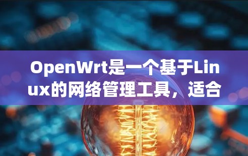 OpenWrt是一个基于Linux的网络管理工具，适合用户在需要网络连接和配置网络设备时使用。以下是几种推荐的免费和付费下载链接，供您参考