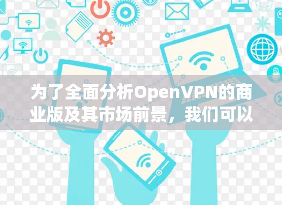 为了全面分析OpenVPN的商业版及其市场前景，我们可以按照以下步骤进行