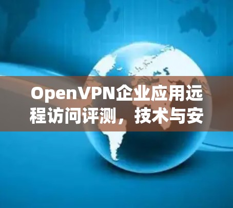 OpenVPN企业应用远程访问评测，技术与安全的平衡
