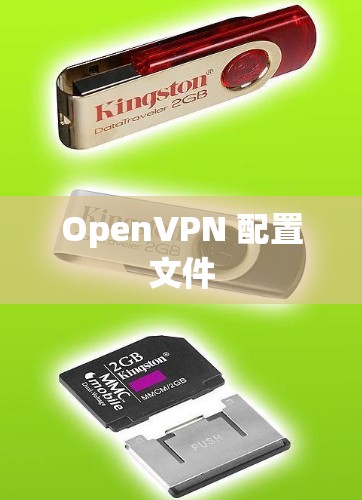 OpenVPN 配置文件