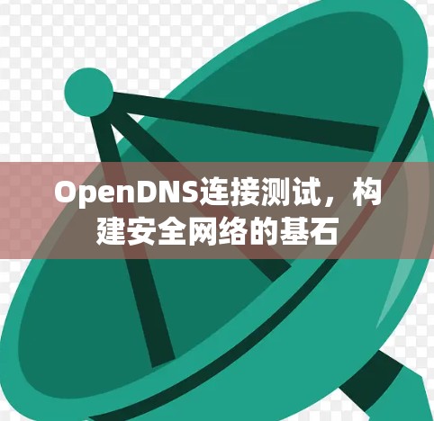 OpenDNS连接测试，构建安全网络的基石
