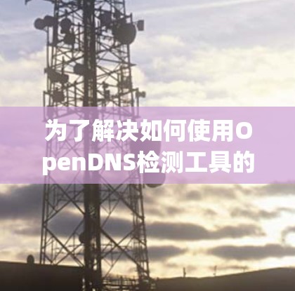 为了解决如何使用OpenDNS检测工具的问题，以下是一个结构化的指南，帮助您系统地学习和应用这些工具