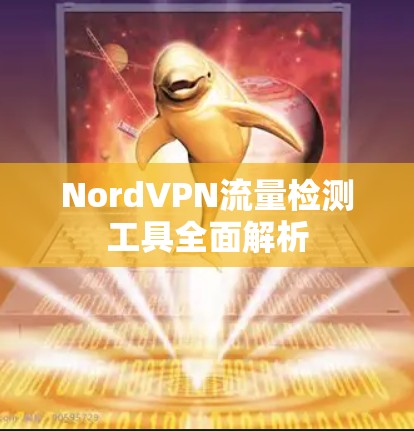 NordVPN流量检测工具全面解析