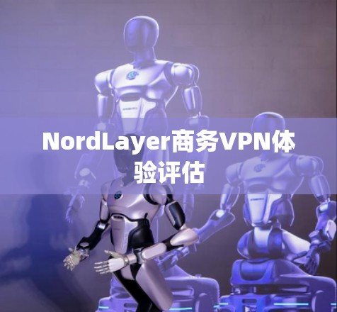 NordLayer商务VPN体验评估