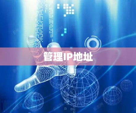 管理IP地址