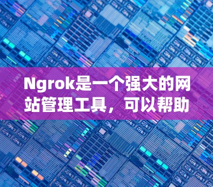 Ngrok是一个强大的网站管理工具，可以帮助你控制网站的访问权限、防火墙设置、缓存优化以及监控流量。以下是对Ngrok操作的详细指南