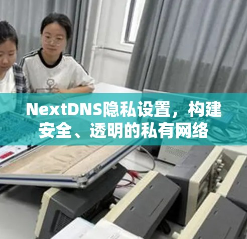 NextDNS隐私设置，构建安全、透明的私有网络