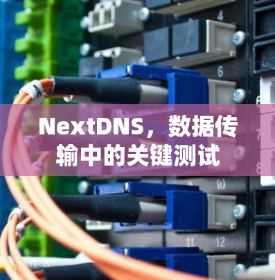 NextDNS，数据传输中的关键测试