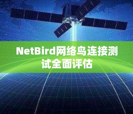 NetBird网络鸟连接测试全面评估