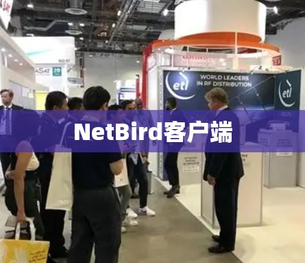 NetBird客户端