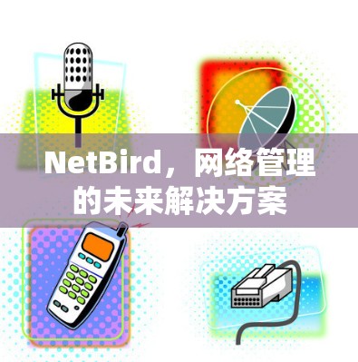 NetBird，网络管理的未来解决方案