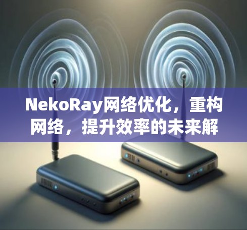 NekoRay网络优化，重构网络，提升效率的未来解决方案