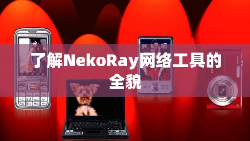 了解NekoRay网络工具的全貌