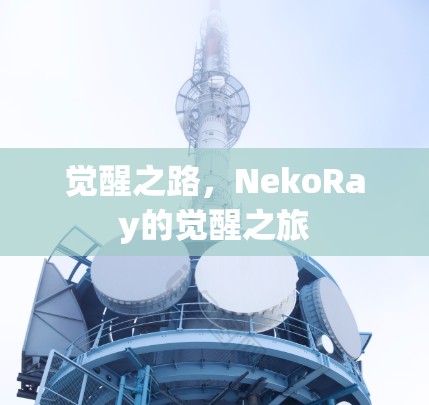 觉醒之路，NekoRay的觉醒之旅