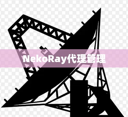 NekoRay代理管理
