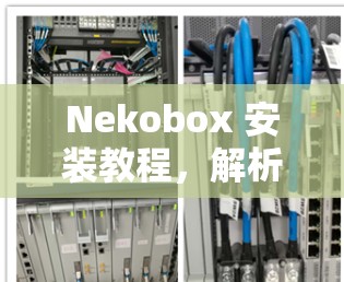 Nekobox 安装教程，解析 Nekobox 软件的安装步骤与使用指南