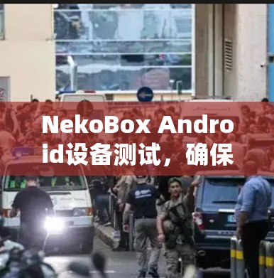 NekoBox Android设备测试，确保安全可靠连接