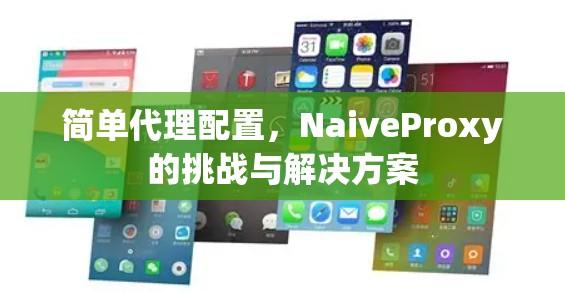 简单代理配置，NaiveProxy的挑战与解决方案