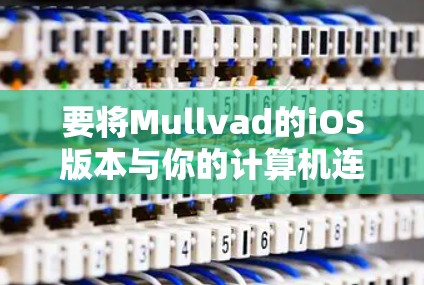 要将Mullvad的iOS版本与你的计算机连接起来，你可以按照以下步骤操作