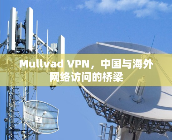 Mullvad VPN，中国与海外网络访问的桥梁