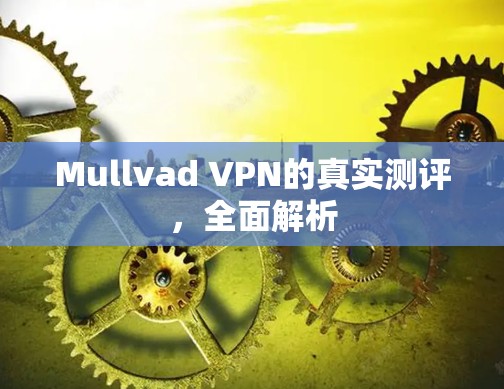 Mullvad VPN的真实测评，全面解析