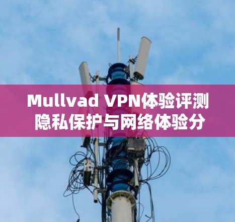 Mullvad VPN体验评测 隐私保护与网络体验分析 Mullvad VPN体验评测 隐私保护与网络体验分析