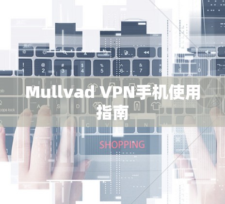 Mullvad VPN手机使用指南
