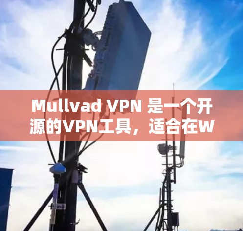 Mullvad VPN 是一个开源的VPN工具,适合在Web浏览器中使用。以下是一步一步的使用指南 Mullvad VPN 是一个开源的VPN工具,适合在Web浏览器中使用。以下是一步一步的使用指南