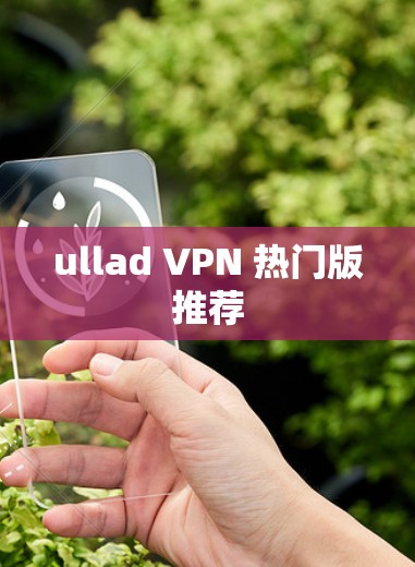 ullad VPN 热门版推荐