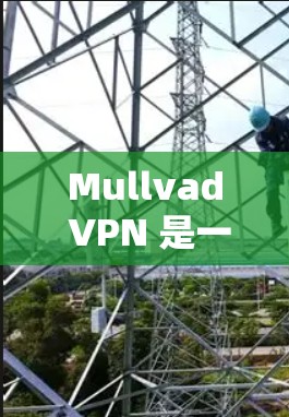 Mullvad VPN 是一种基于虚拟专用网络（VPC）的安全网络解决方案，专为企业用户设计，旨在提供可靠、安全和高效的网络加密通信。如果你正在寻找一个可靠客户端来管理内部网络，以下是一些推荐
