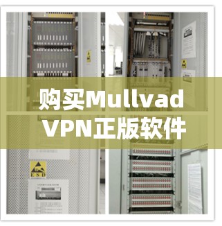 购买Mullvad VPN正版软件是一个明智的决策，尤其是当您需要一个简洁、安全且易于使用的VPN工具时。以下是一个总结