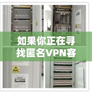 如果你正在寻找匿名VPN客户端下载教程，以下是一个详细的步骤指南，适用于Windows和Mac用户