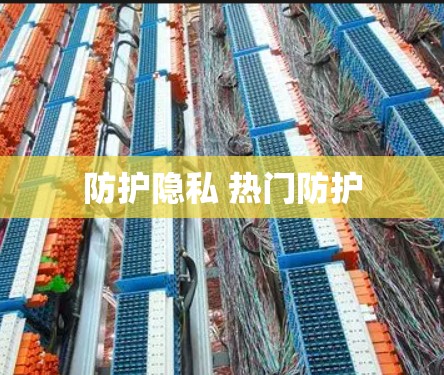 防护隐私 热门防护