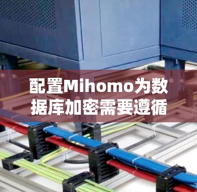 配置Mihomo为数据库加密需要遵循以下步骤，确保每个部分都正确无误