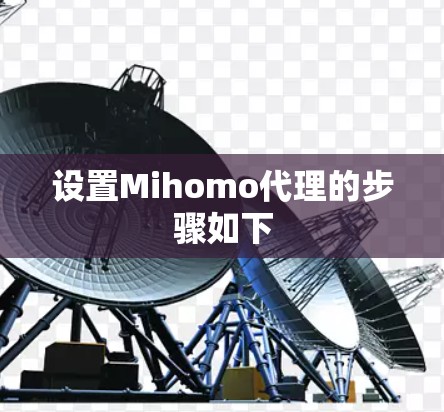 设置Mihomo代理的步骤如下
