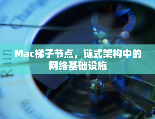 Mac梯子节点，链式架构中的网络基础设施