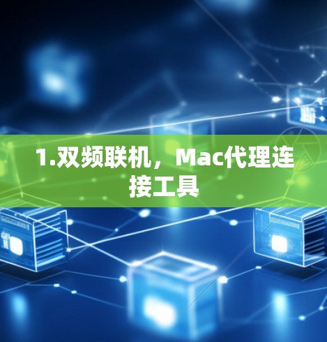 1.双频联机，Mac代理连接工具