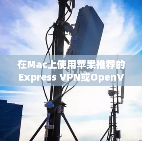 在Mac上使用苹果推荐的Express VPN或OpenVPN服务，可以按照以下步骤进行