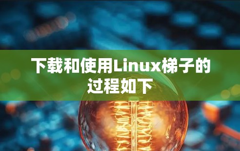 下载和使用Linux梯子的过程如下