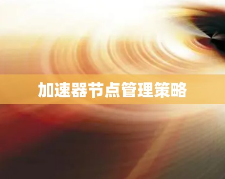 加速器节点管理策略