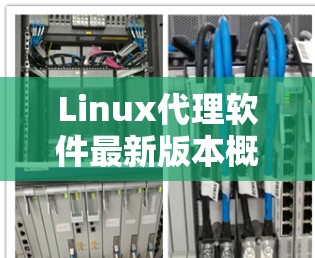 Linux代理软件最新版本概述