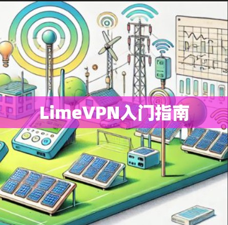 LimeVPN入门指南