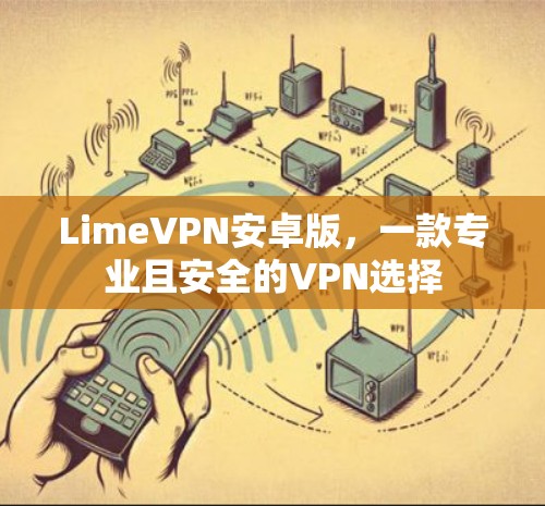 LimeVPN安卓版，一款专业且安全的VPN选择
